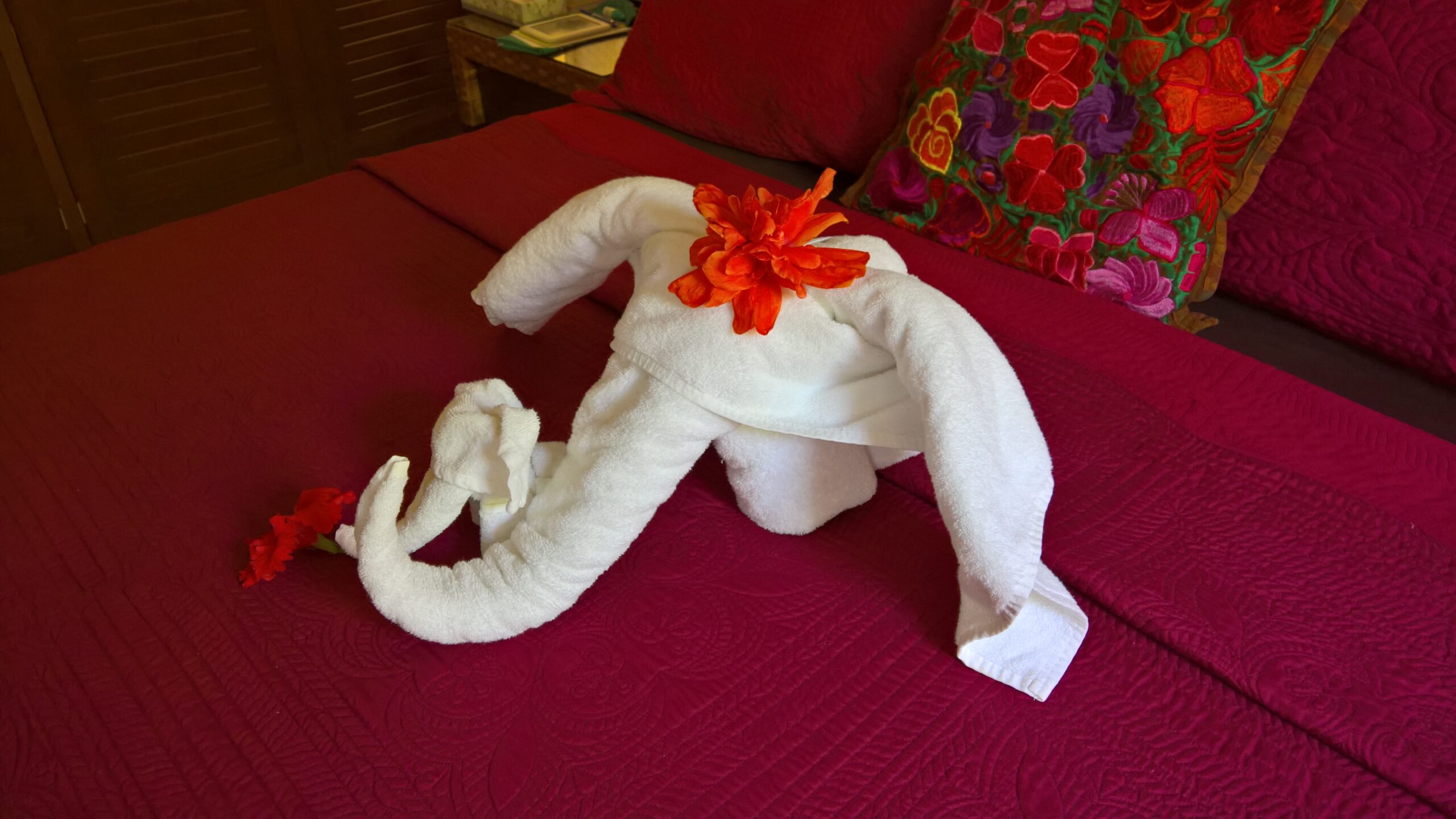 Towel Art At Abbey del Sol