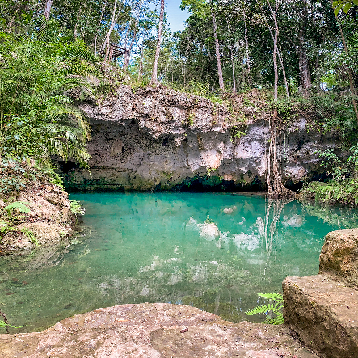 Turquoise water in an open cenote surrounded by limestone and jungle trees