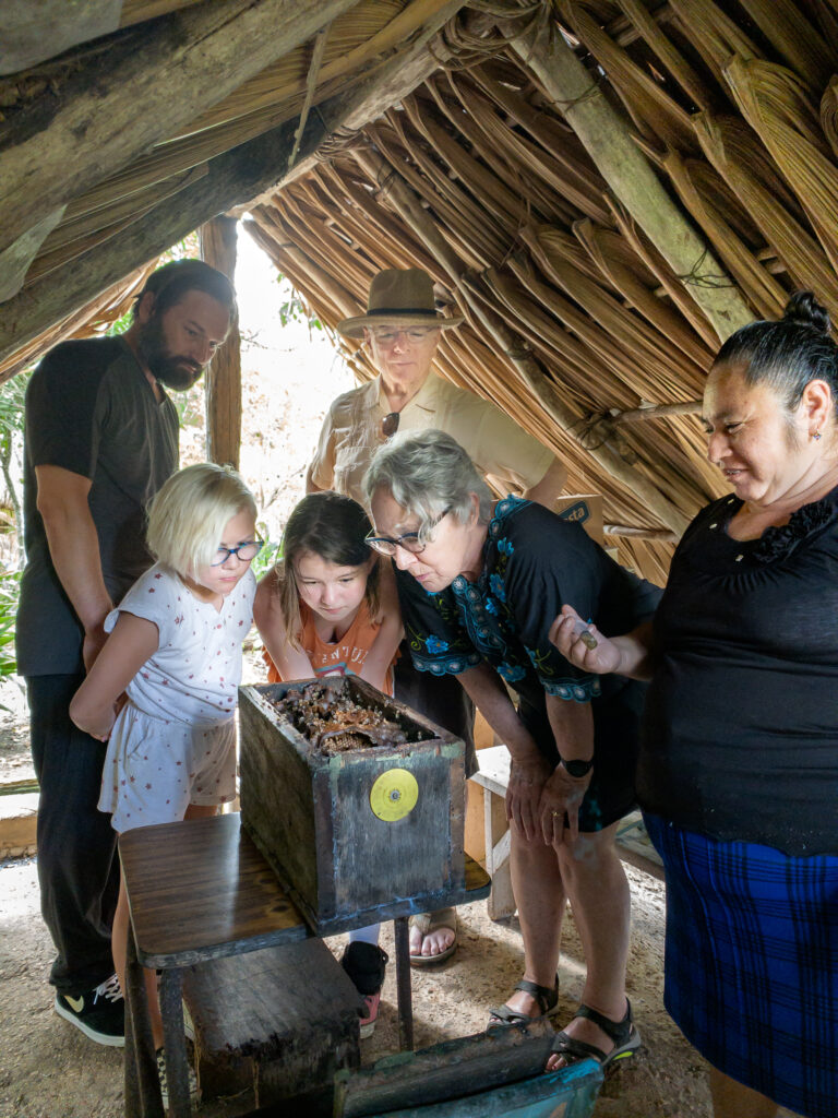 Guests marveling at a Melipona hive.