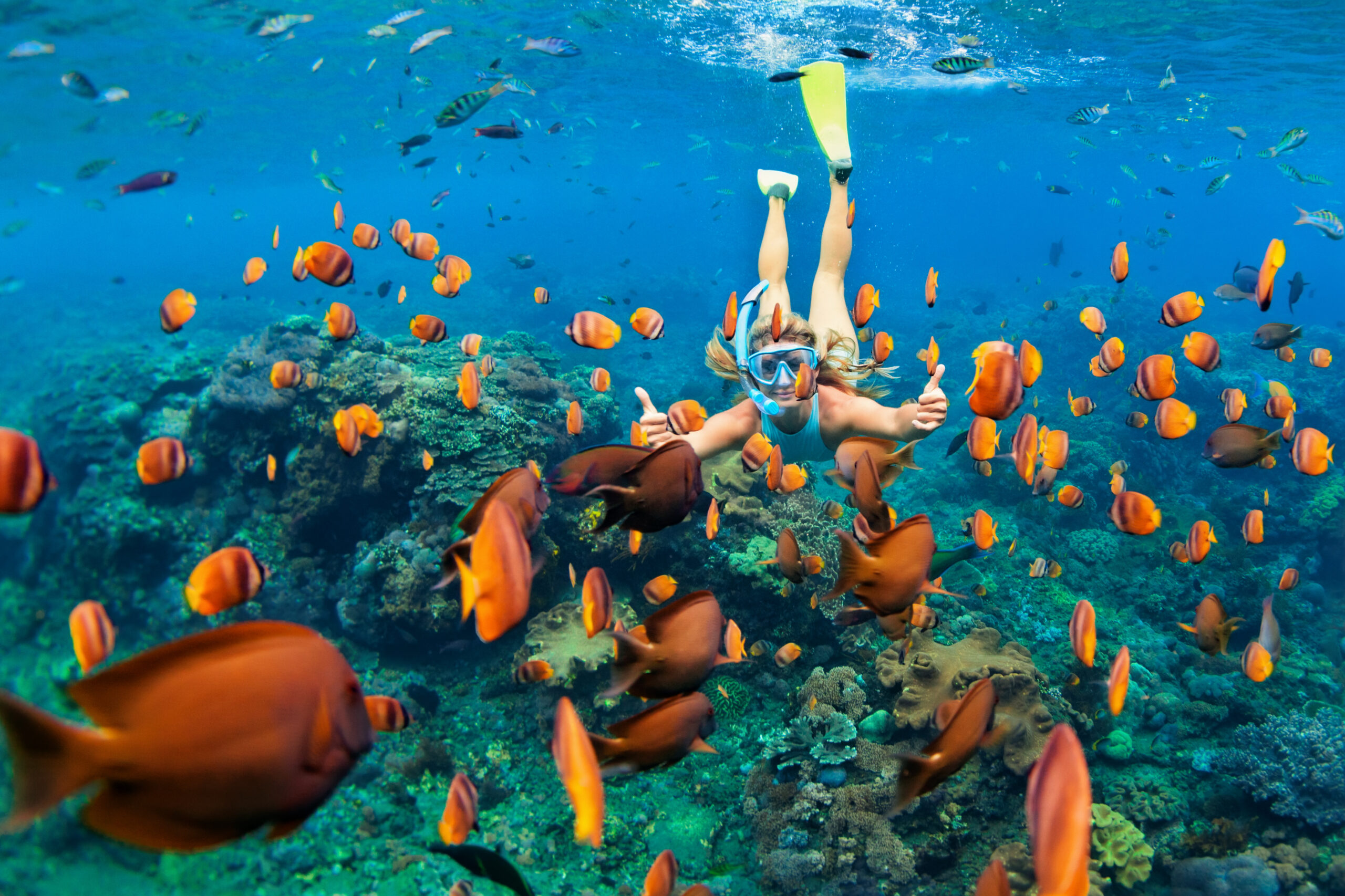 Snorkeling in Puerto Morelos, Mexico: A Safe and Enthralling Adventure for All Ages