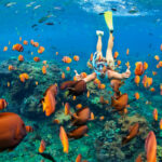 Happy family - girl in snorkeling mask dive underwater with tropical fishes in coral reef sea pool. Travel lifestyle, water sport outdoor adventure, swimming lessons on summer beach holiday with child