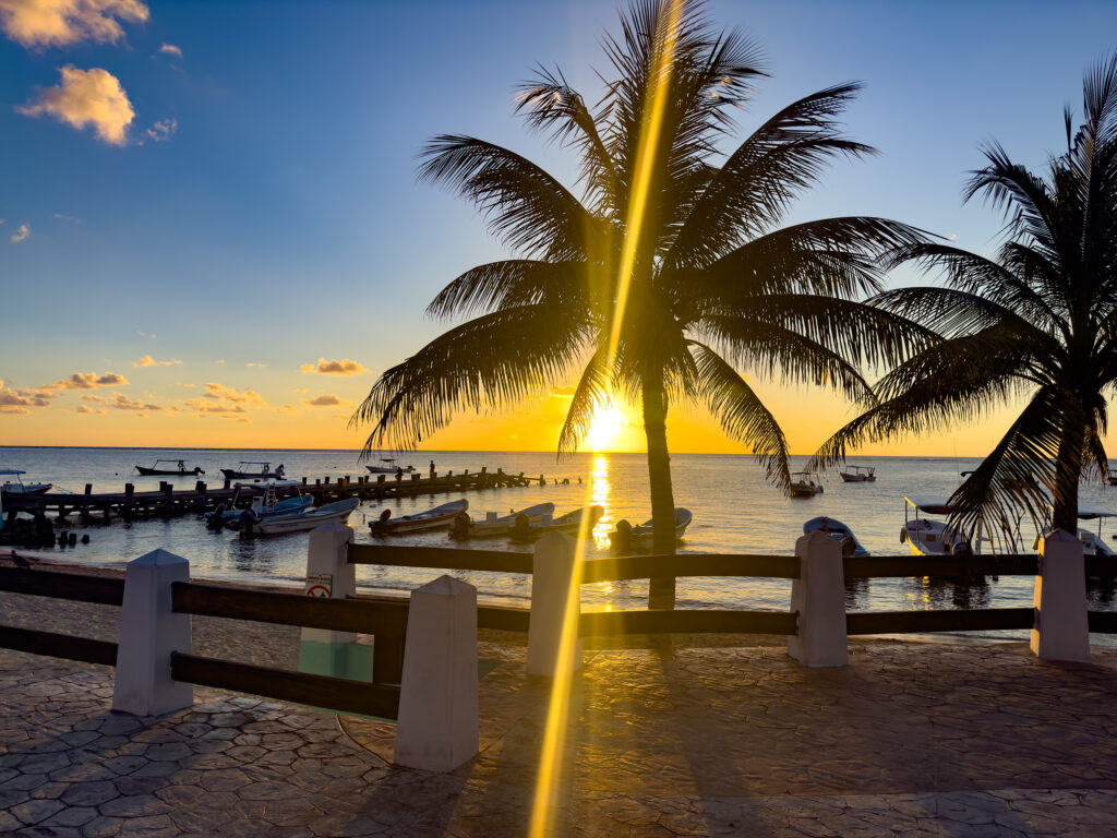 The sun rises over the calm sea, casting a golden glow through palm trees and small boats moored along the pier."
