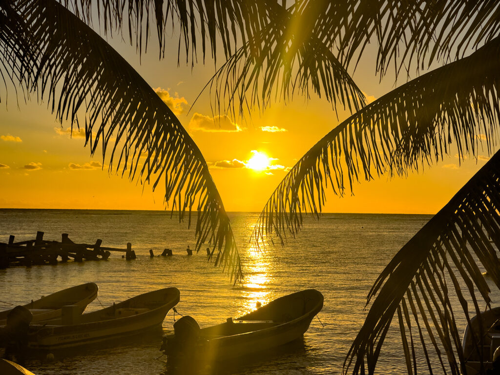 A peaceful beach at sunrise with boats anchored close to the shore, a palm tree in the foreground, and a soft glow over the water.