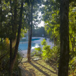 A shaded path leading to a serene pool surrounded by tropical trees.