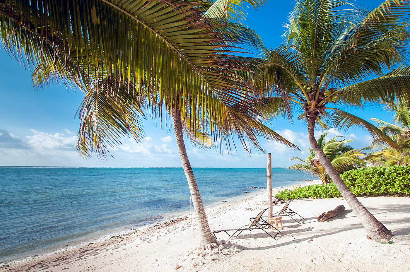 Two empty lounge chairs beneath palm trees beside a quiet beach in Puerto Morelos