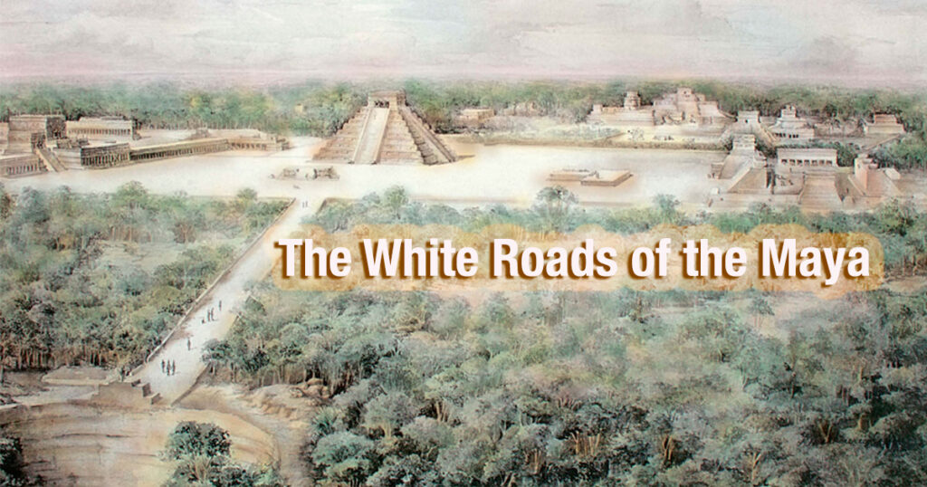 Illustrated aerial view of an ancient Mayan city with a prominent white sacbe (road) leading into the city center, surrounded by jungle and large pyramids, with the text “The White Roads of the Maya” overlayed.