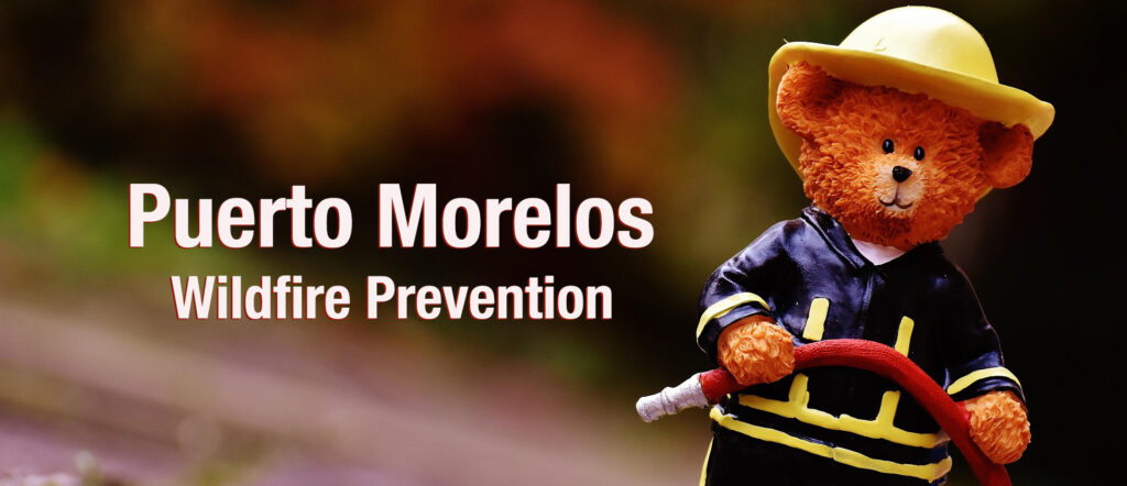 A teddy bear dressed as a firefighter stands holding a hose. Bold text reads “Puerto Morelos Wildfire Prevention” against a blurred natural background.