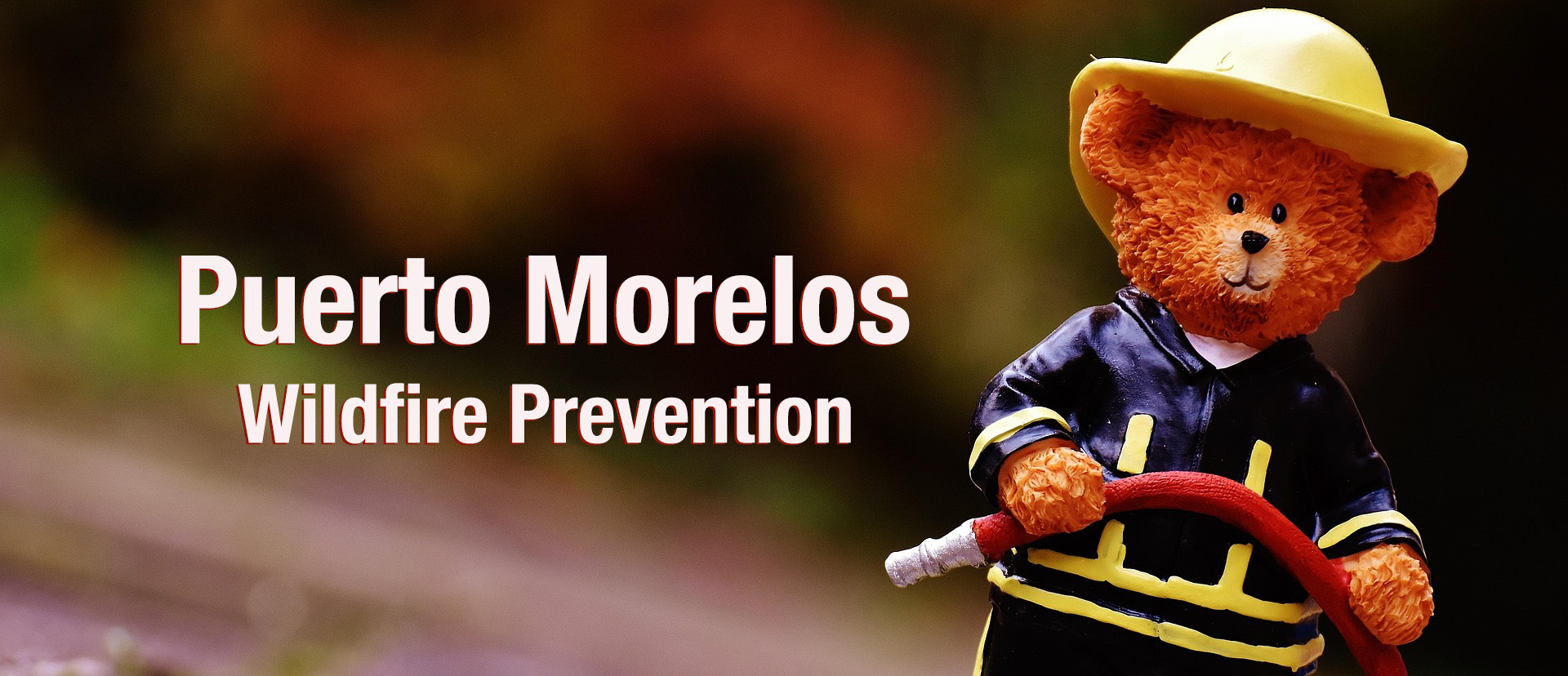 Wildfire Awareness and Prevention in Puerto Morelos
