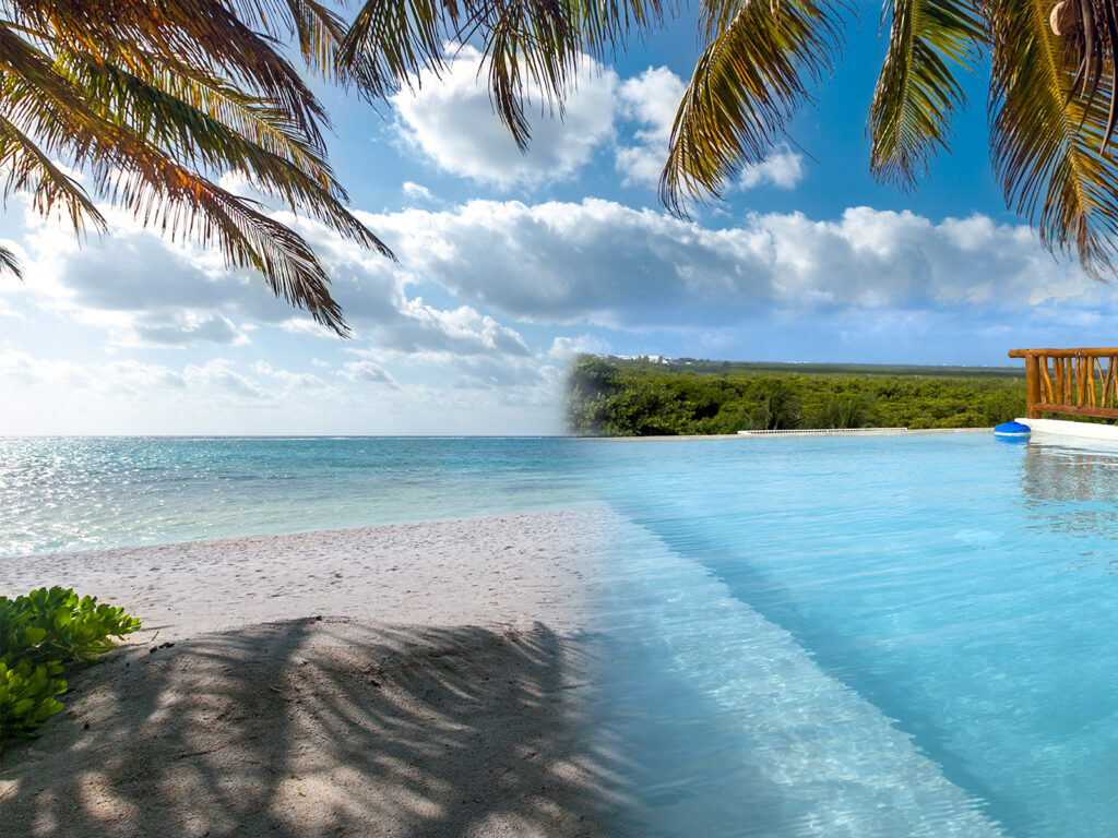 Casa Daniela view of beach and ocean blending into a rooftop infinity pool under palm trees.