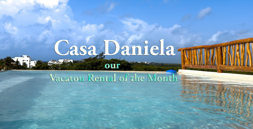 Rooftop infinity pool at Casa Daniela with ocean and mangrove views under a blue sky.