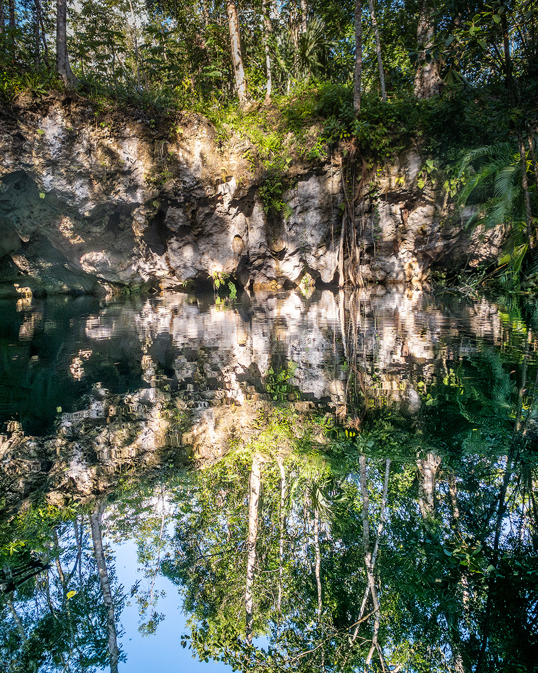 Still cenote water reflecting limestone and tropical vegetation