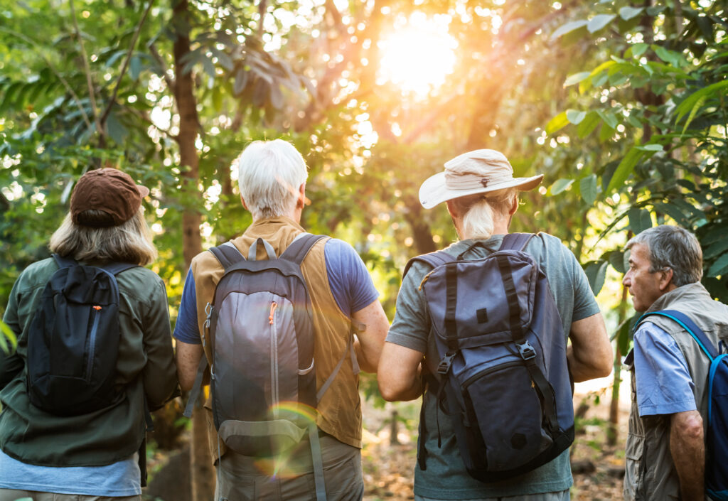 Guests walking through the jungle near Puerto Morelos at sunrise
