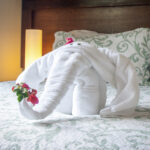 Bed-00001