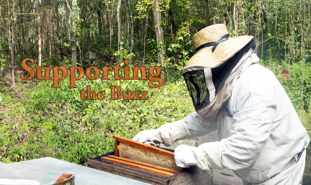 Beekeeper in protective gear inspects honeycomb frame in the jungle