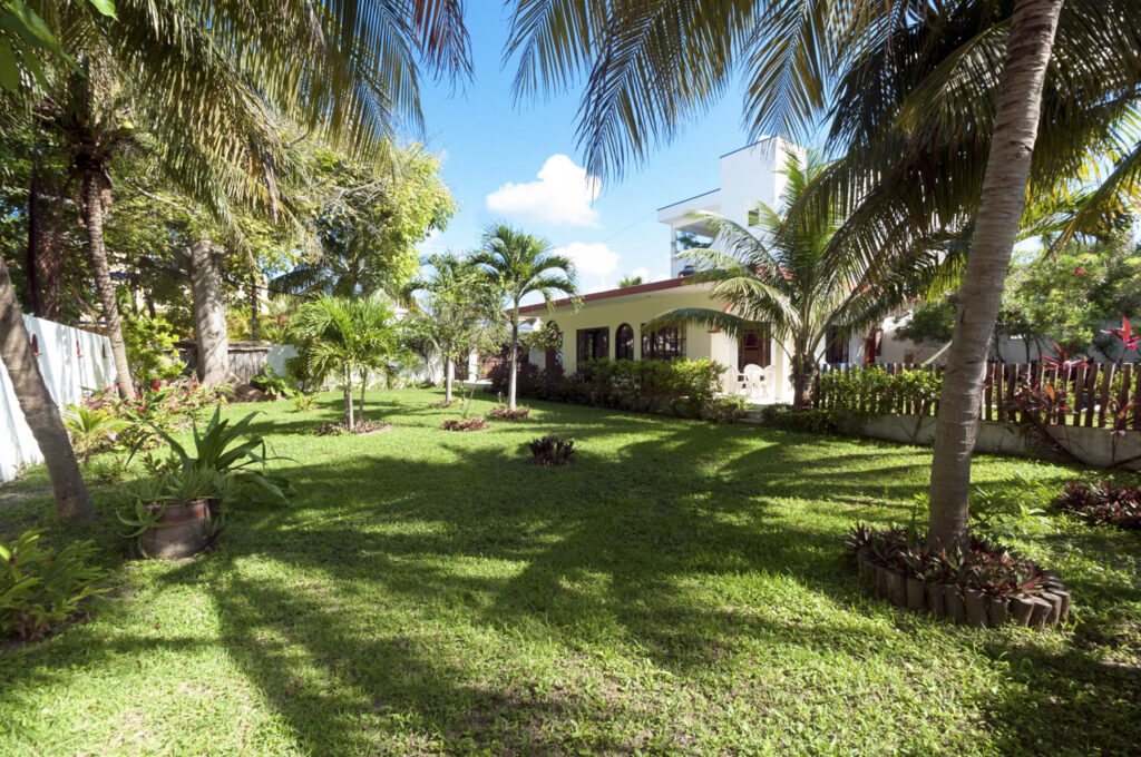 Large tropical garden with palm trees at Casa Anita vacation rental