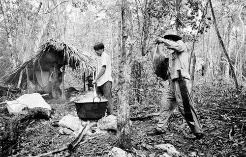 Black-and-white photo of chicleros cooking chicle sap in a large pot over an open fire in the jungle.