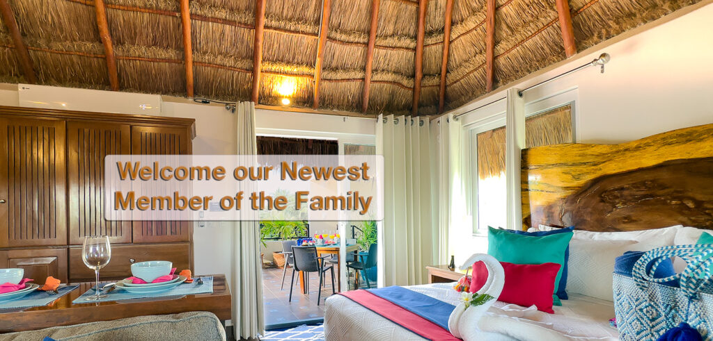 Interior of Casa Catalina #3 with palapa ceiling, king bed, terrace access, and banner text welcoming the newest rental.