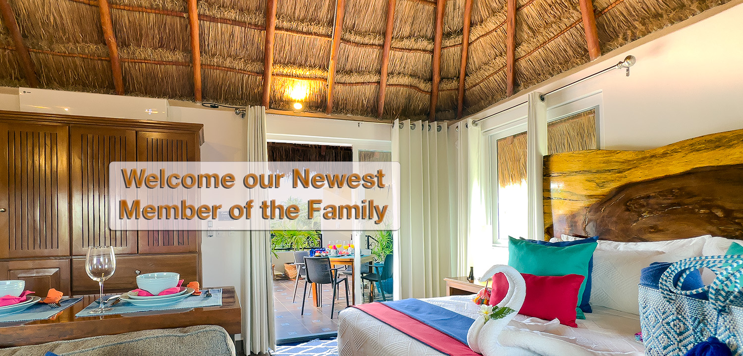 A November Favorite Among Puerto Morelos Vacation Rentals