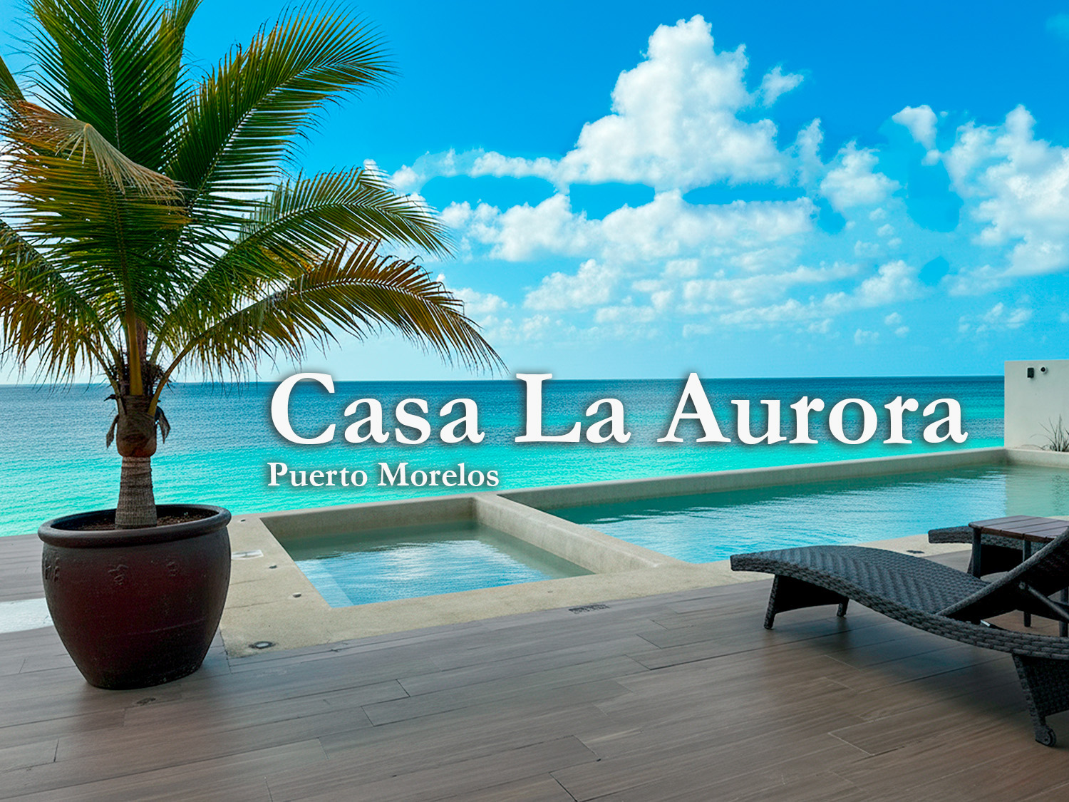 Beachfront infinity pool with turquoise Caribbean water, palm tree, and sun loungers at Casa La Aurora in Puerto Morelos.