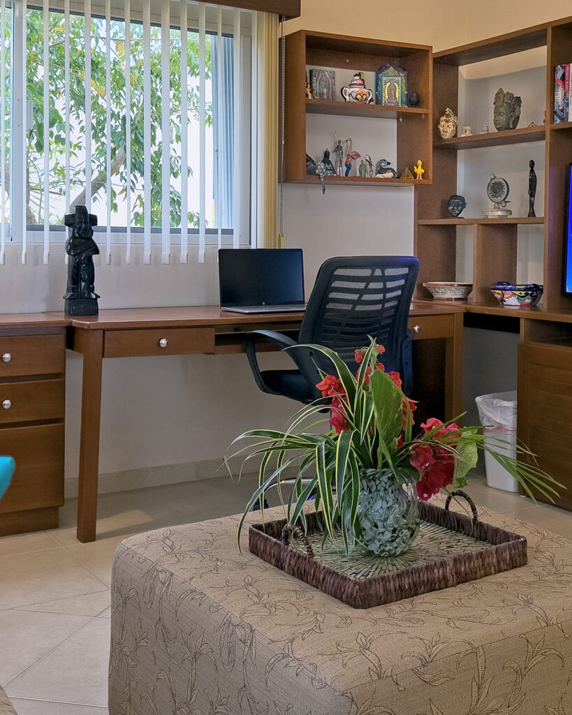 Desk workspace with chair and shelving in a bright living room.