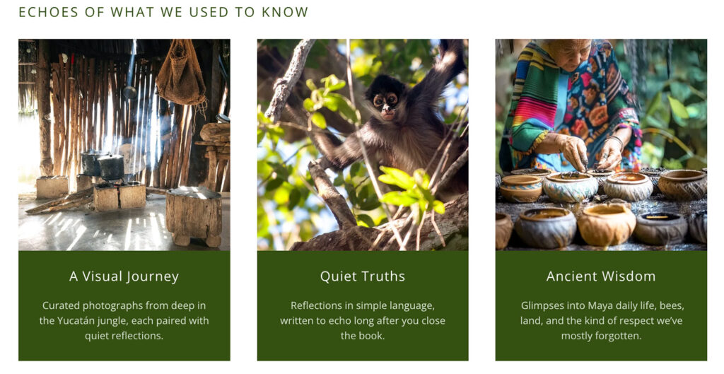 Three-book layout showing sample spreads with photos and text sections titled “A Visual Journey,” “Quiet Truths,” and “Ancient Wisdom.”