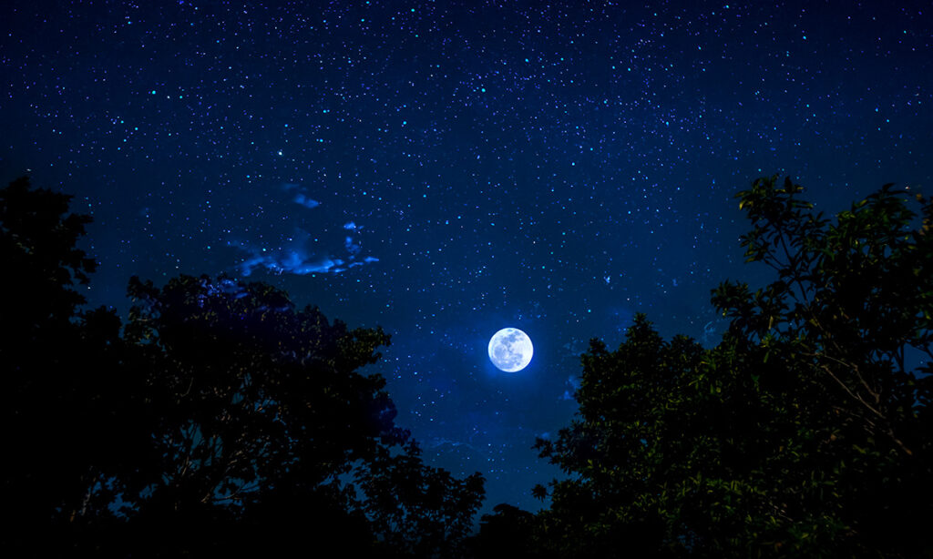 Bright moon glowing in a star-filled night sky above dark jungle treetops in the Yucatán.
