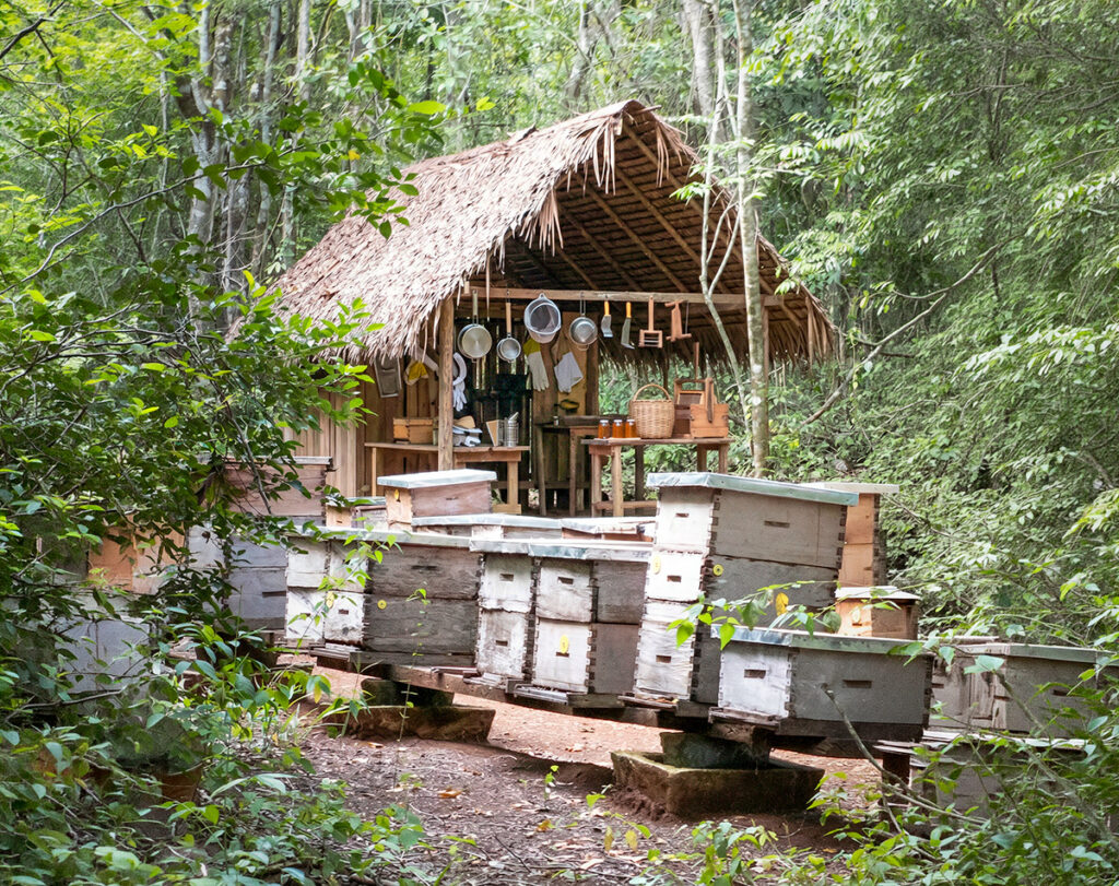 Photo showing the delivery of glass jars used for honey production by Maya beekeepers near Puerto Morelos. Abbey del Sol helps support the project by providing materials needed for sustainable honey harvests and traditional beekeeping.