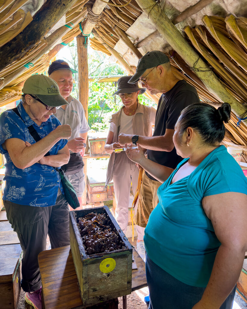 Guests visiting a traditional Maya bee house in the jungle near Puerto Morelos.