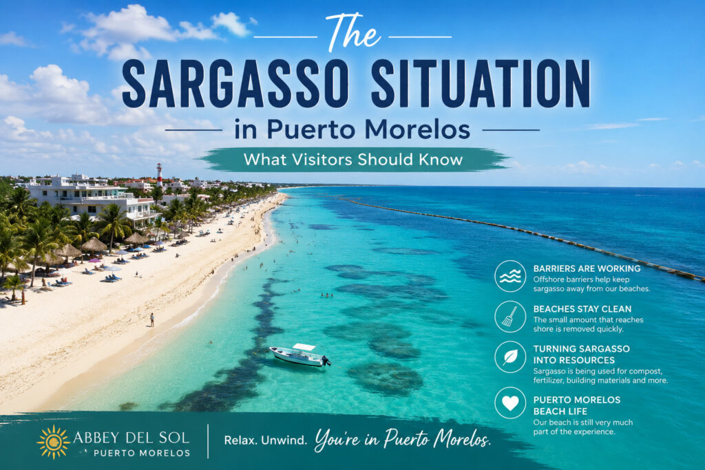 Blog banner about the Puerto Morelos sargasso situation with beach, barrier, and clear Caribbean water.