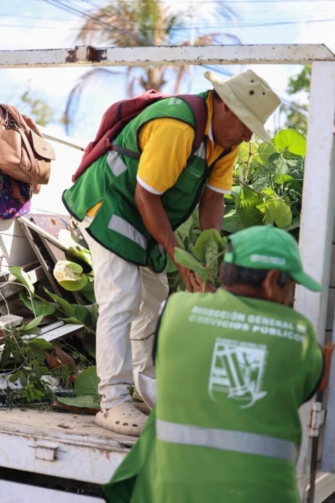Puerto Morelos cleanup workers collecting yard waste during a community cleanup event.