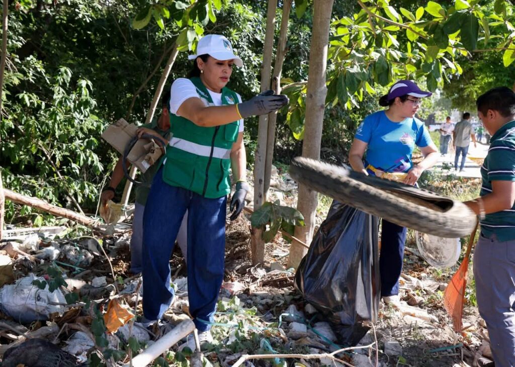 Puerto Morelos cleanup workers collecting branches and debris from a wooded area.