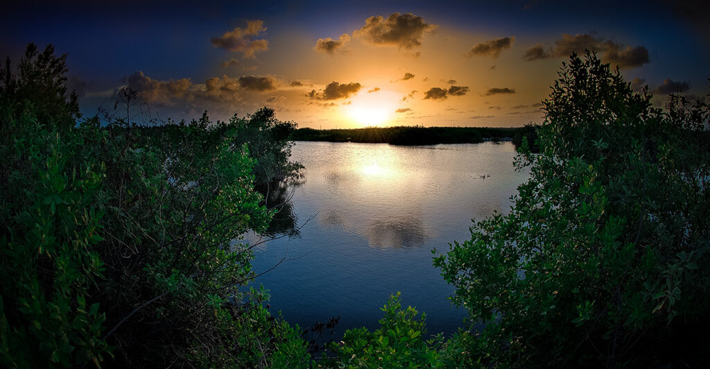 Golden sunrise reflected on calm water surrounded by the mangroves of Puerto Morelos.