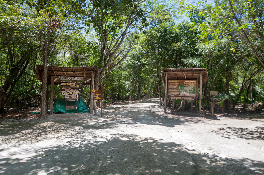 Shaded walking paths through the Jardín Botánico Dr. Alfredo Barrera Marín in Puerto Morelos.
