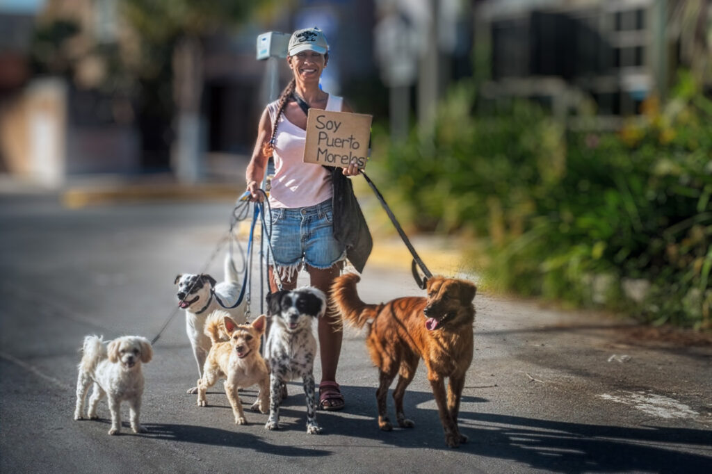 Woman walking five dogs in Puerto Morelos while holding a Soy Puerto Morelos sign.