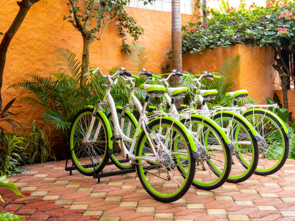 Several green bicycles parked together on brick paving beside tropical plants.