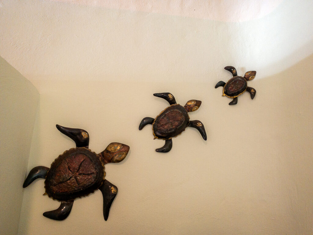 Three turtle ornaments arranged diagonally on a pale wall.