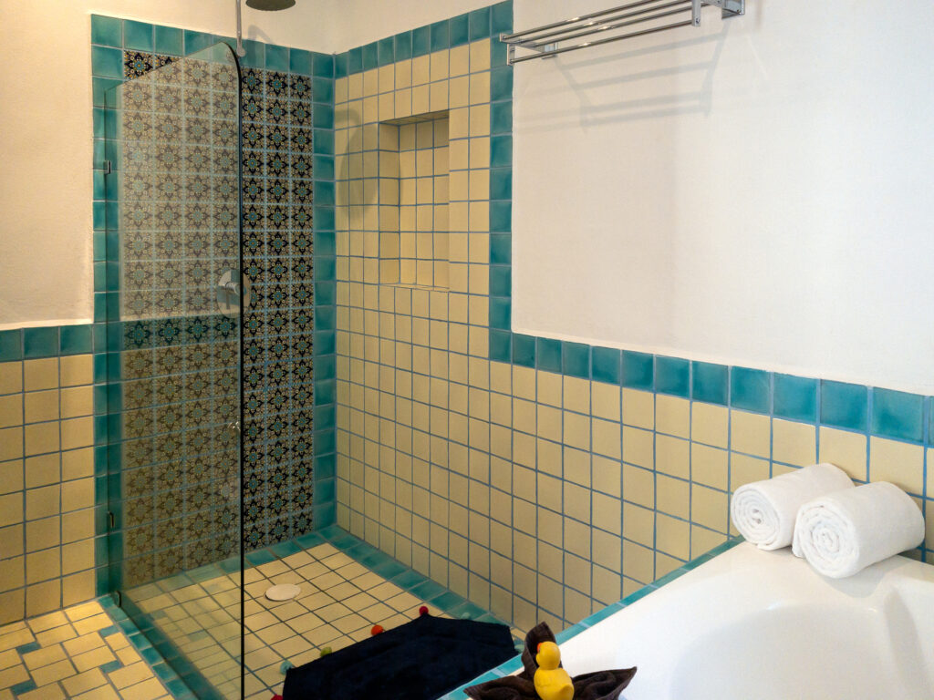 Glass-screened shower with patterned blue tiles beside the edge of a bathtub.