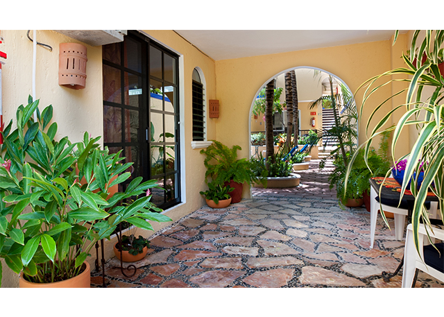 Stone-paved passage beside a glass entrance door, with potted plants and an archway beyond.
