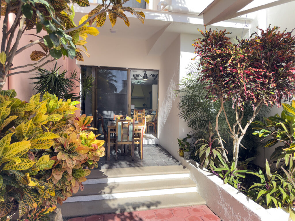 Steps lead through tropical planting to glass doors and a covered outdoor dining table.