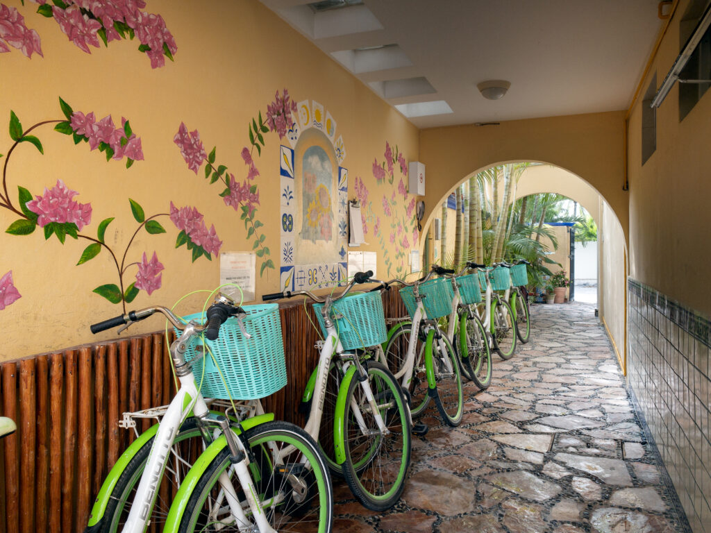 Bicycles with turquoise baskets lined up along a stone passage beside a floral mural.