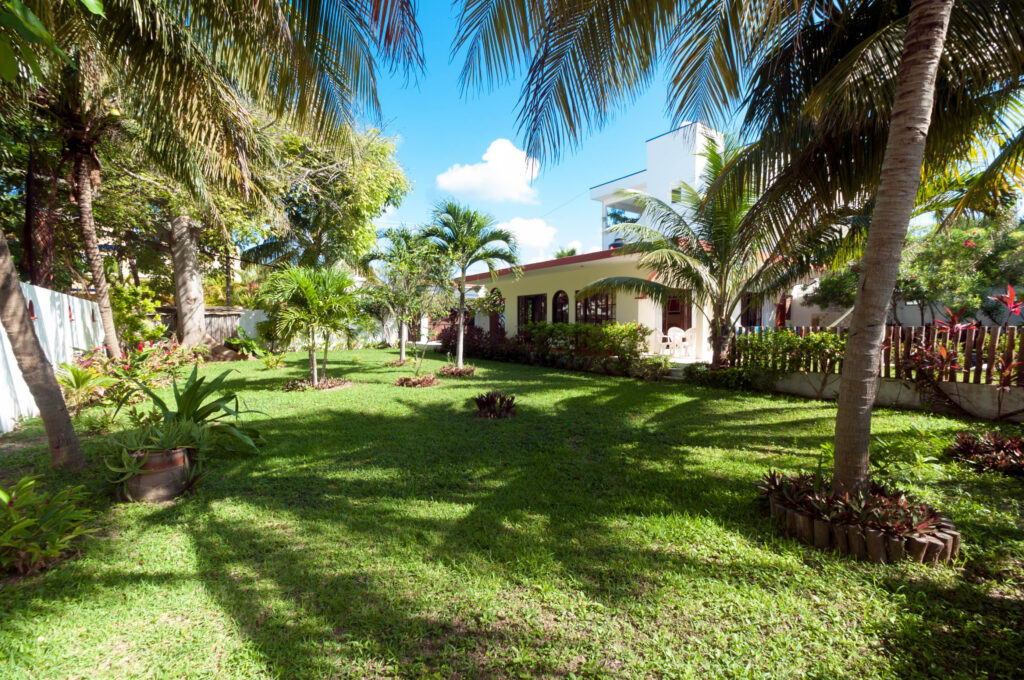 Broad green lawn bordered by palms and tropical plants beside the house.