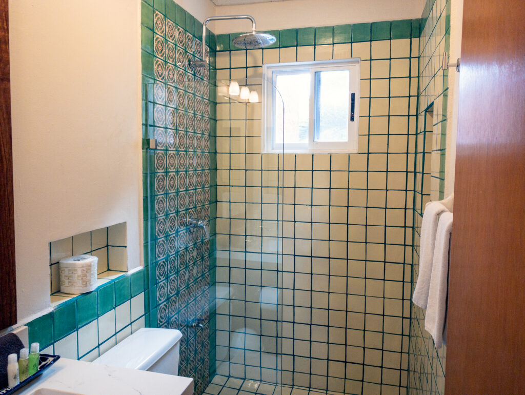 Shower with green-and-white tiles beneath a small window beside a toilet.