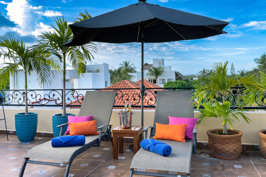 Lounge chairs and potted palms on a terrace overlooking nearby rooftops beneath a blue sky.