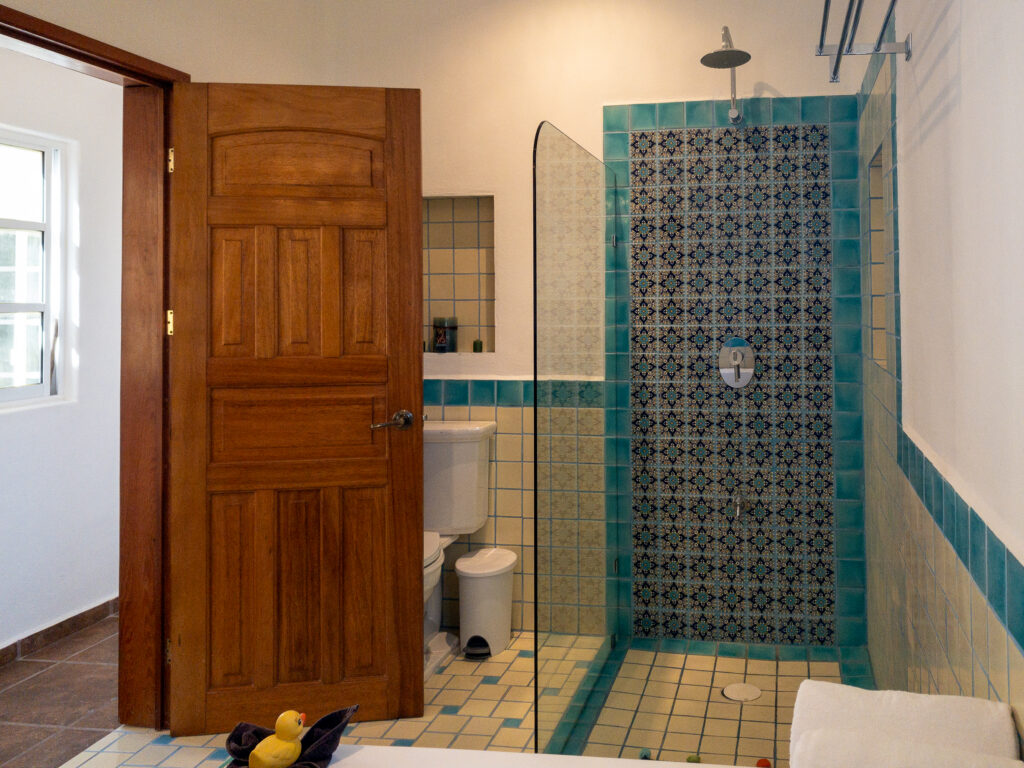 Shower with patterned tiles and blue borders beside a wooden bathroom door.