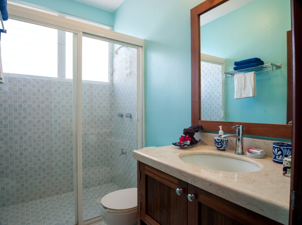 Bathroom with turquoise walls, wooden vanity, wide mirror, and glass shower enclosure.