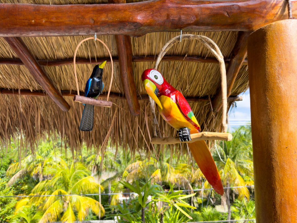 Two colorful bird ornaments suspended in small wicker perches beneath a thatched roof.