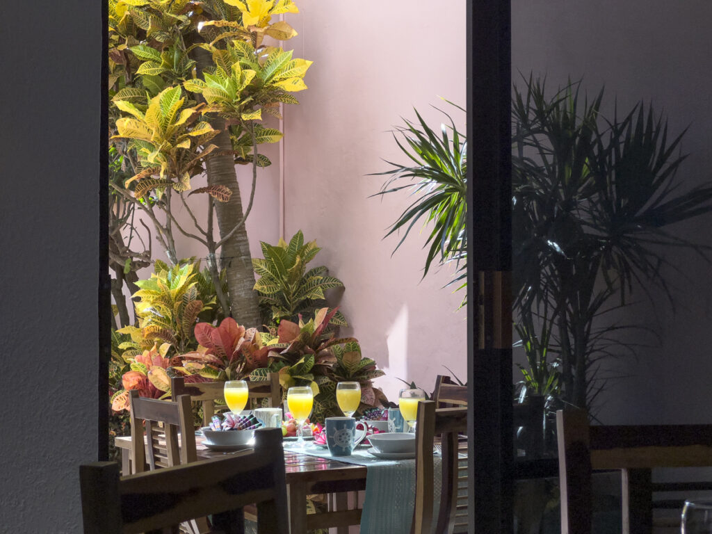 Outdoor table set with drinks and dishes seen through glass doors beside tropical plants.