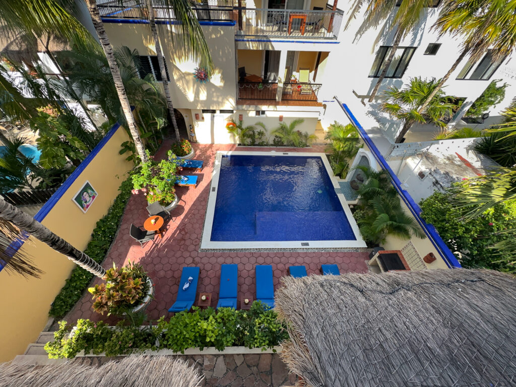 Overhead view of the rectangular courtyard pool, blue lounge chairs, and surrounding palms.