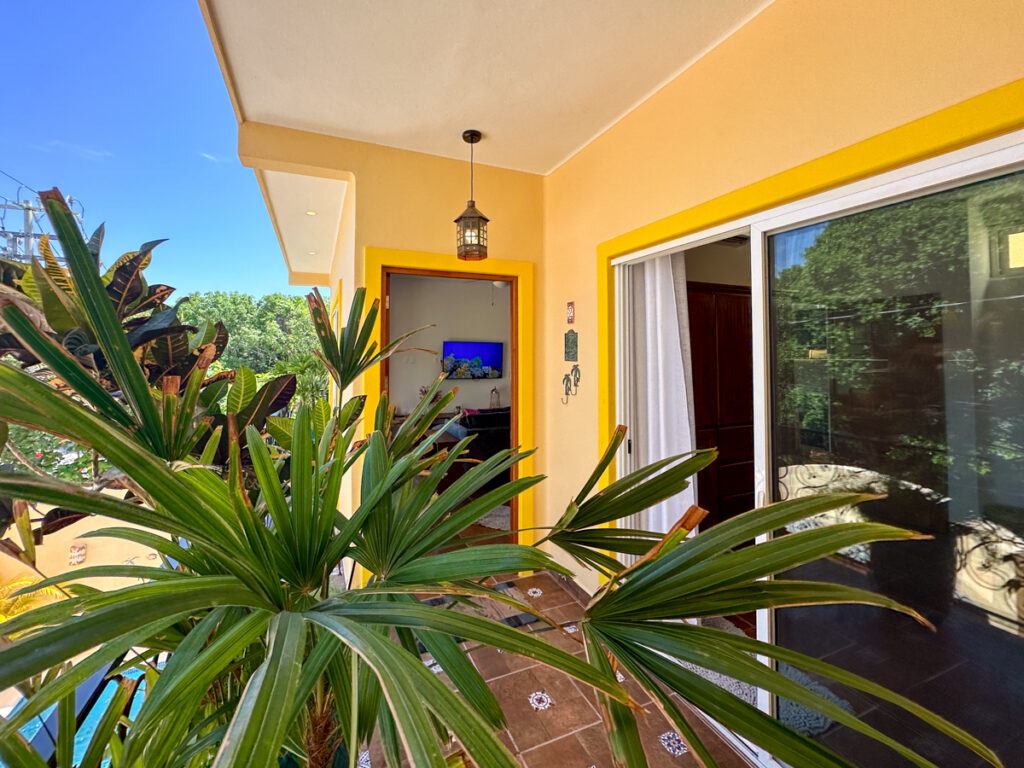 Potted tropical plants beside a yellow balcony wall and sliding glass doors.