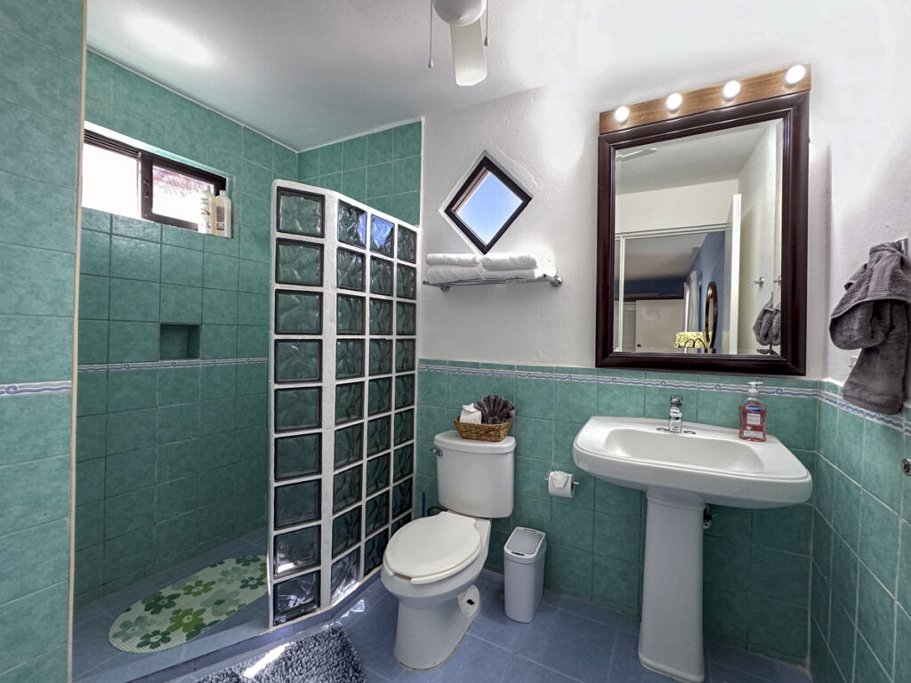 Green-tiled shower with a glass-block screen beside a toilet and pedestal sink.
